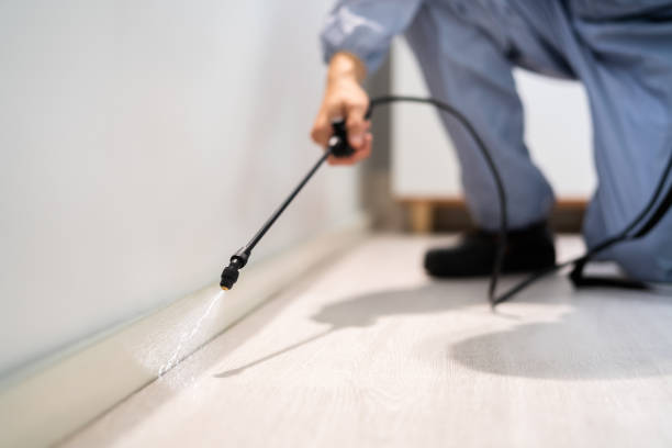 Licensed Pest Control service in Jacksonville, TX - Show Me Pest Control