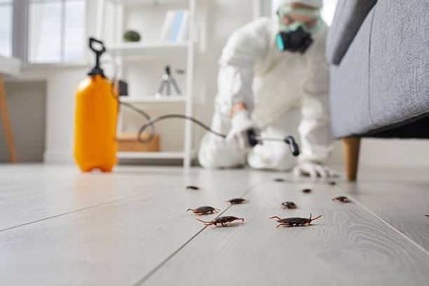 Post-Treatment Bed Bug Interceptor Monitoring in Jacksonville