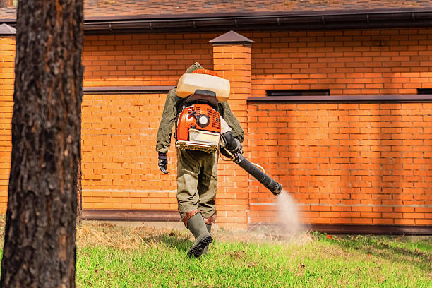 Bed Bug Clearance Verification and Documentation in Jacksonville